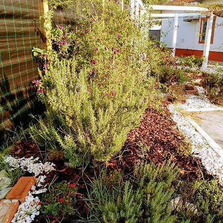 Moita Prázdninový dům *