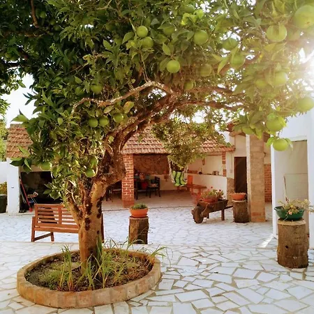 Moita Feriehus Moita (Leiria)