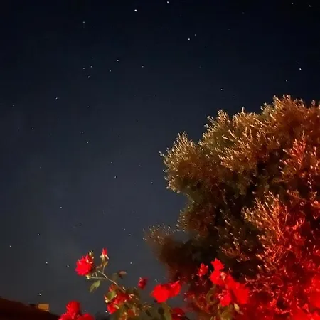 Prázdninový dům Moita Moita (Leiria)