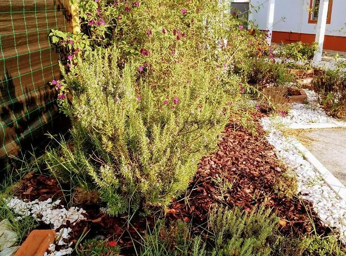 Moita Holiday home *