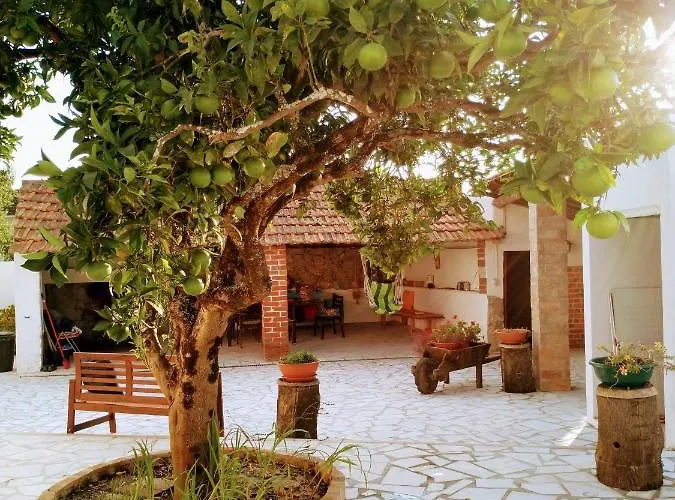 Moita Holiday home Moita (Leiria)