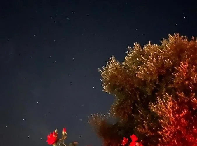 Holiday home Moita Moita (Leiria)